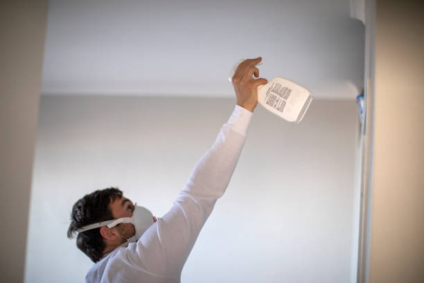 Best Fast Mold Removal  in St Ignace, MI