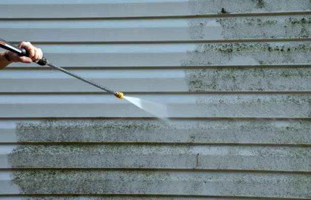 Best Attic Mold Removal  in St Ignace, MI