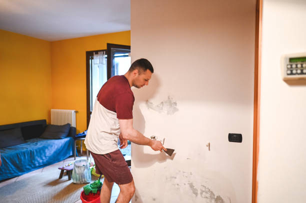 Best Water Damage Restoration  in St Ignace, MI